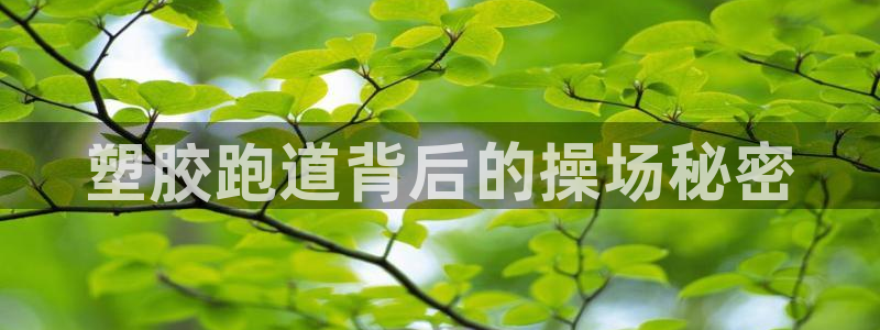 红足1一世开奖版：塑胶跑道背后的操场秘密