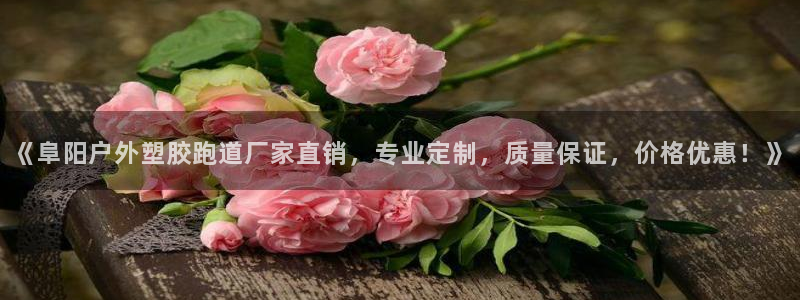 百度红足一1使用说明