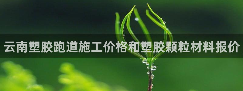 红足1世1站2站管理网：云南塑胶跑道施工价格和塑胶颗粒材料报价