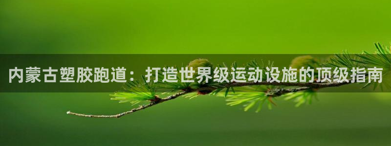 红足1世手机版下载：内蒙古塑胶跑道：打造世界级运动设施的顶级指南