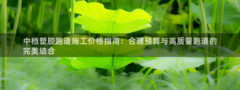红足一1世皇冠登录：中档塑胶跑道施工价格指南：合理预算与高质量跑道的
完美结合