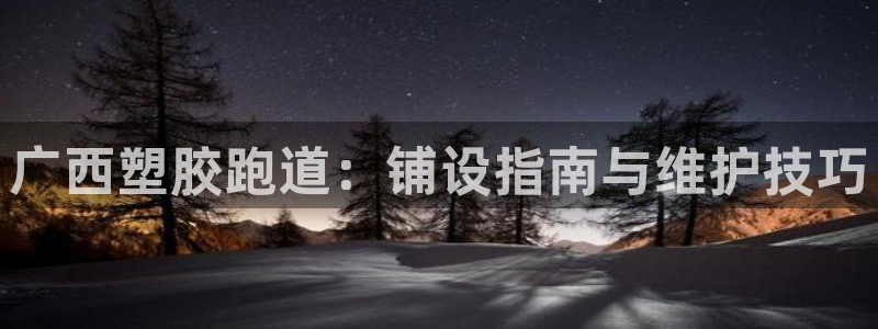红足1世官网：广西塑胶跑道：铺设指南与维护技巧
