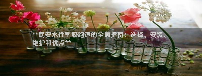 百度红足一1世：**武安水性塑胶跑道的全面指南：选择、安装、
维护和优点**