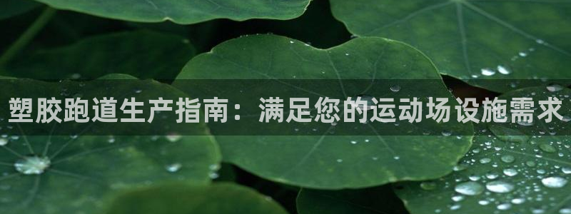 红足一1世手机版赛果：塑胶跑道生产指南：满足您的运动场设施需求