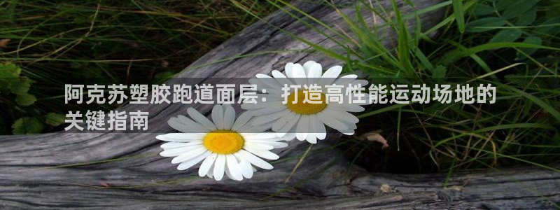 红足1世足球比分：阿克苏塑胶跑道面层：打造高性能运动场地的
关键指南