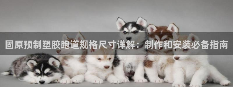 红足1世1站2站管理网：固原预制塑胶跑道规格尺寸详解：制作和安装必备指南