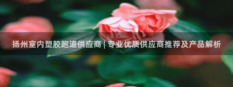 红足一1世666814足球比分网：扬州室内塑胶跑道供应商 | 专业优质供应商推荐及产品解析