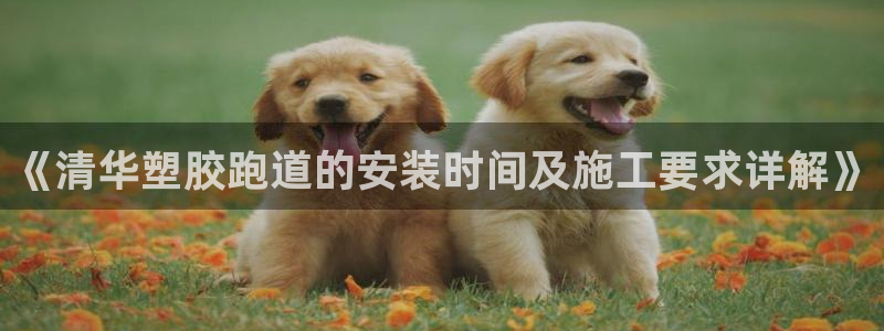 红足一一世足球网开奖记录：《清华塑胶跑道的安装时间及施工要求详解》