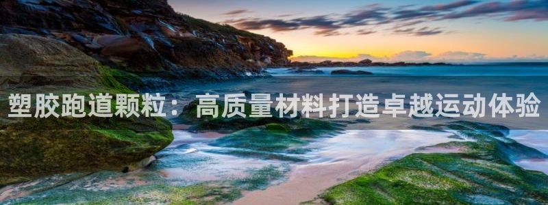 红足一一世：塑胶跑道颗粒：高质量材料打造卓越运动体验