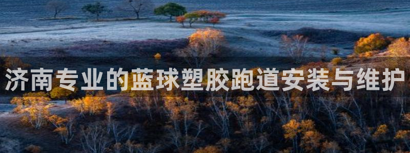 红足1一世开奖版：济南专业的蓝球塑胶跑道安装与维护