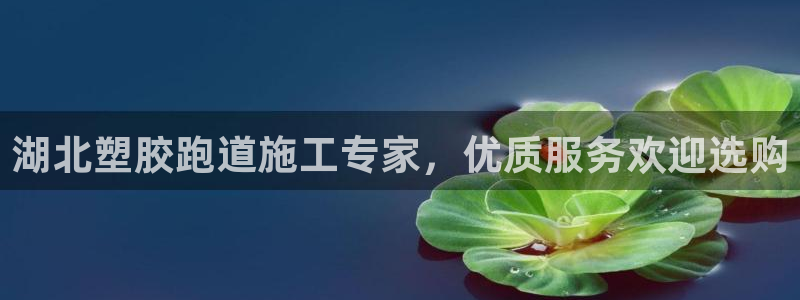 红足一生世：湖北塑胶跑道施工专家，优质服务欢迎选购