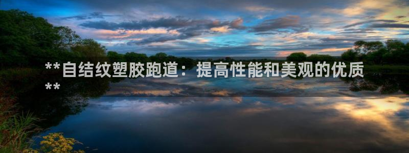 红足一1世666814足球：**自结纹塑胶跑道：提高性能和美观的优质
**