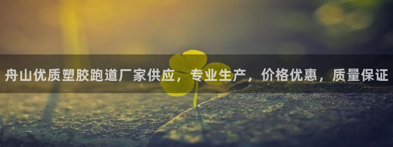 百度红足一1世：舟山优质塑胶跑道厂家供应，专业生产，价格优惠，质量保证