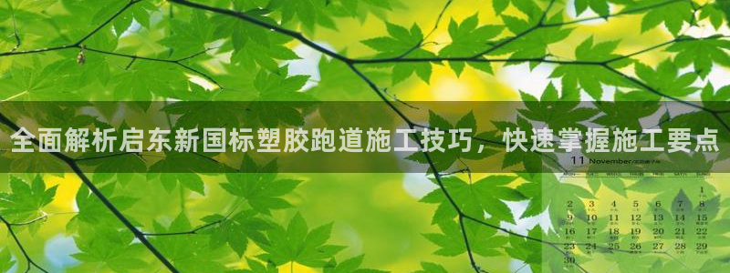 44814红足：全面解析启东新国标塑胶跑道施工技巧，快速掌握施工要点