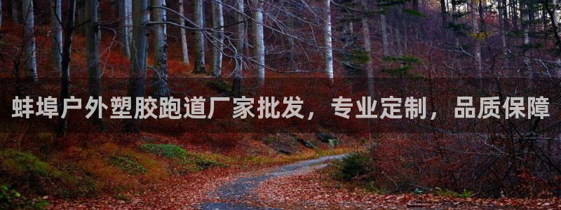 66814红足一66814世：蚌埠户外塑胶跑道厂家批发，专业定制，品质保障