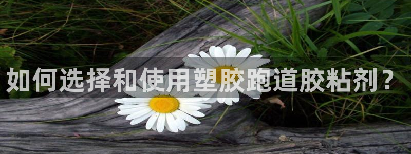 新2足球平台出租网站：如何选择和使用塑胶跑道胶粘剂？