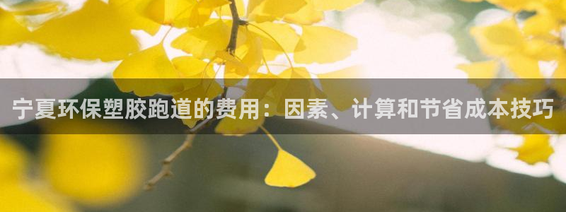 333814红·足一世比分：宁夏环保塑胶跑道的费用：因素、计算和节省成本技巧