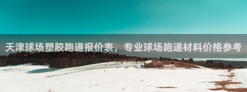 红足一：天津球场塑胶跑道报价表，专业球场跑道材料价格参考