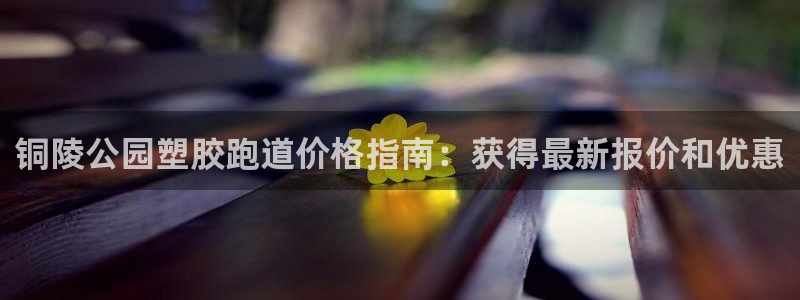 红姐现场直播开奖记录：铜陵公园塑胶跑道价格指南：获得最新报价和优惠