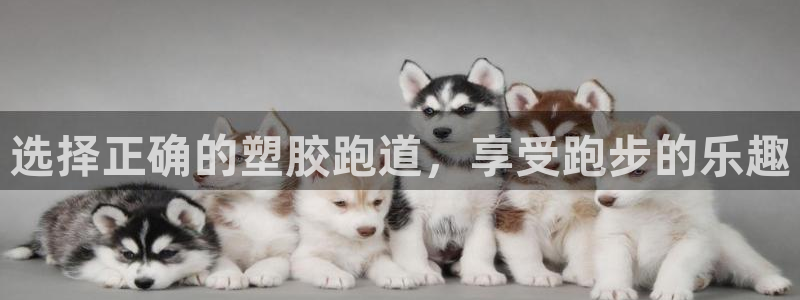 红足一1世666814足球比分网：选择正确的塑胶跑道，享受跑步的乐趣