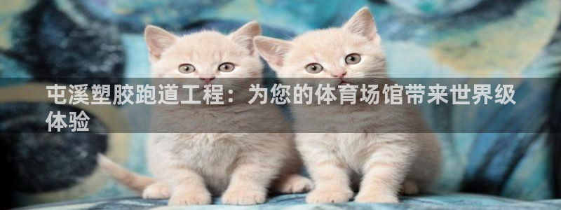 红足一一世：屯溪塑胶跑道工程：为您的体育场馆带来世界级
体验