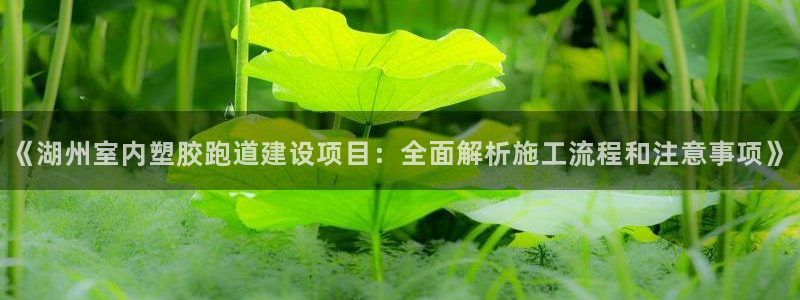 红足一1世手机版新皇冠：《湖州室内塑胶跑道建设项目：全面解析施工流程和注意事项》