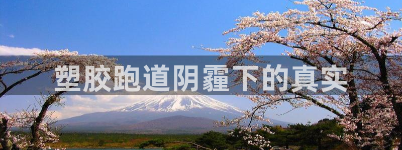 红足一一世足球网开奖记录：塑胶跑道阴霾下的真实