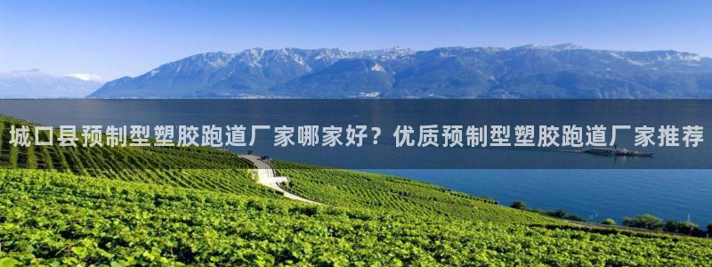 红足一1世皇冠：城口县预制型塑胶跑道厂家哪家好？优质预制型塑胶跑道厂家推荐