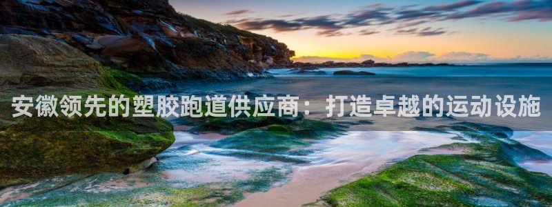 红足1世手机下载：安徽领先的塑胶跑道供应商：打造卓越的运动设施
