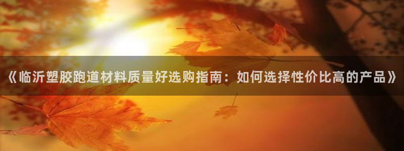 红足1世足球网址大全：《临沂塑胶跑道材料质量好选购指南：如何选择性价比高的产品》