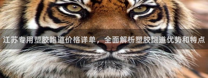 红足一1世皇冠：江苏专用塑胶跑道价格详单，全面解析塑胶跑道优势和特点