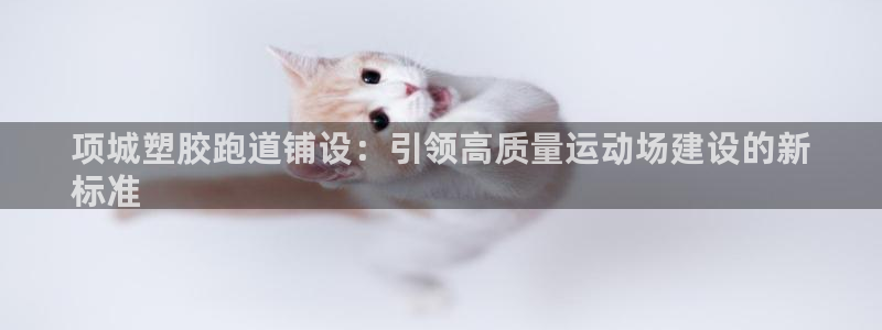 百度红足一1是干什么的：项城塑胶跑道铺设：引领高质量运动场建设的新
标准