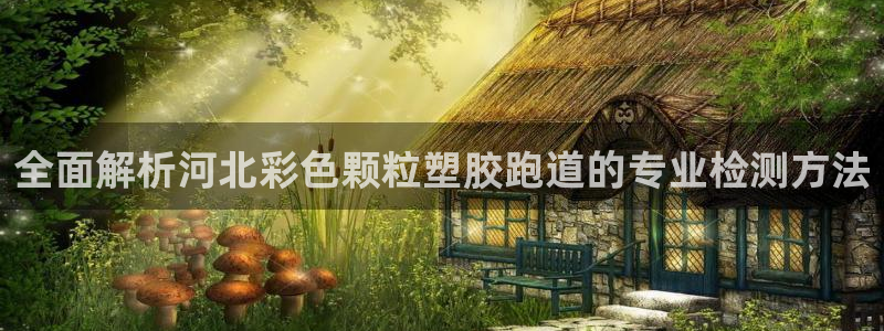 红足i世足球手机网：全面解析河北彩色颗粒塑胶跑道的专业检测方法