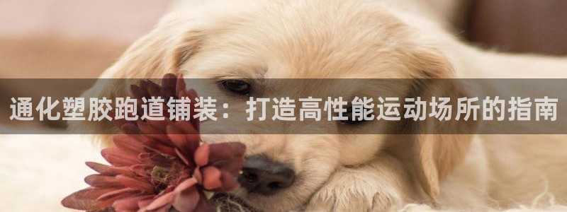 红足一1世666814最新结果：通化塑胶跑道铺装：打造高性能运动场所的指南
