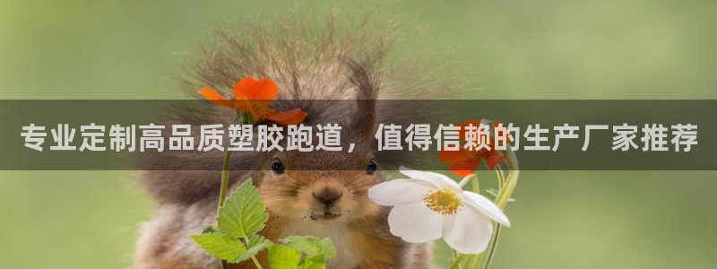 红足体育网：专业定制高品质塑胶跑道，值得信赖的生产厂家推荐