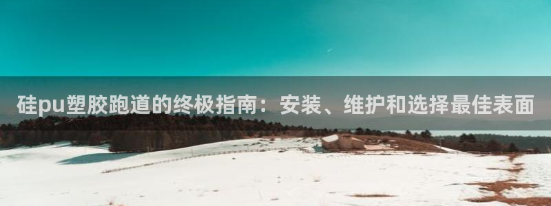 新2足球平台出租网站：硅pu塑胶跑道的终极指南：安装、维护和选择最佳表面