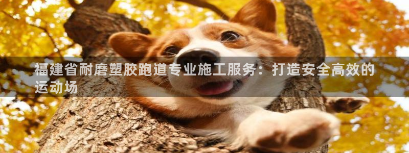 红足1一世 2站：福建省耐磨塑胶跑道专业施工服务：打造安全高效的
运动场