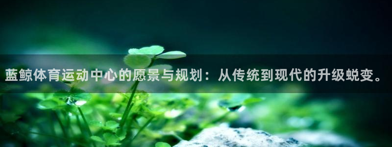 三亿体育登录：蓝鲸体育运动中心的愿景与规划：从传统到现代的升级蜕变。