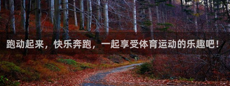 三亿体育网页版