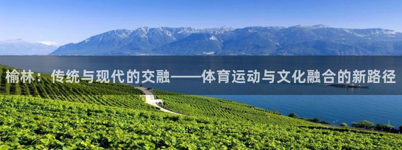 三亿体育网页版