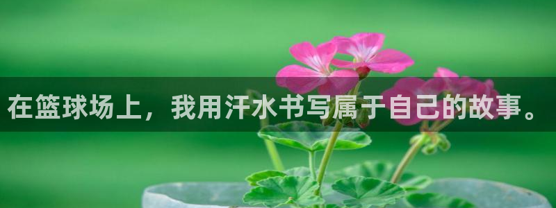 三亿体育网页版