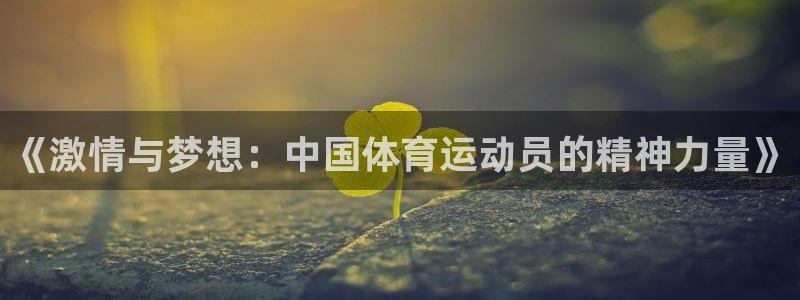 三亿体育网页版