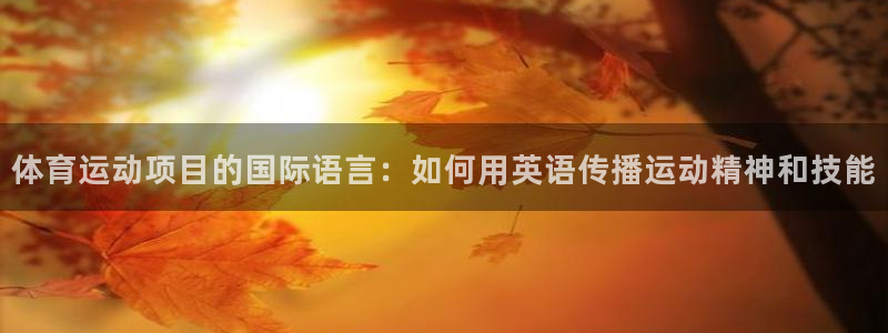 三亿体育网：体育运动项目的国际语言：如何用英语传播运动精神和技能