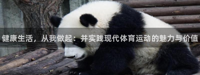 三亿体育：健康生活，从我做起：并实践现代体育运动的魅力与价值