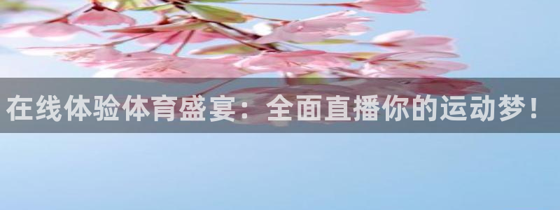三亿体育登录：在线体验体育盛宴：全面直播你的运动梦！