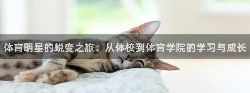 三亿体育网