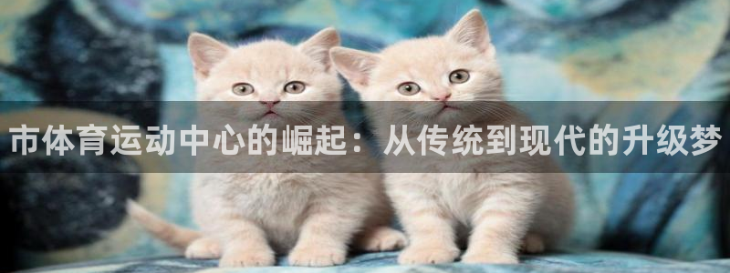 三亿体育登录：市体育运动中心的崛起：从传统到现代的升级梦
