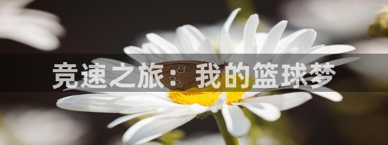 三亿体育网