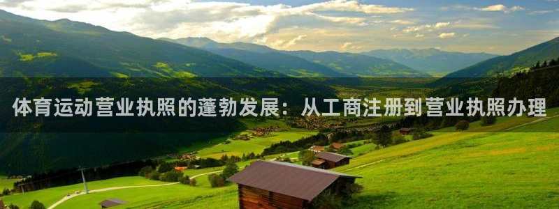 三亿体育网：体育运动营业执照的蓬勃发展：从工商注册到营业执照办理