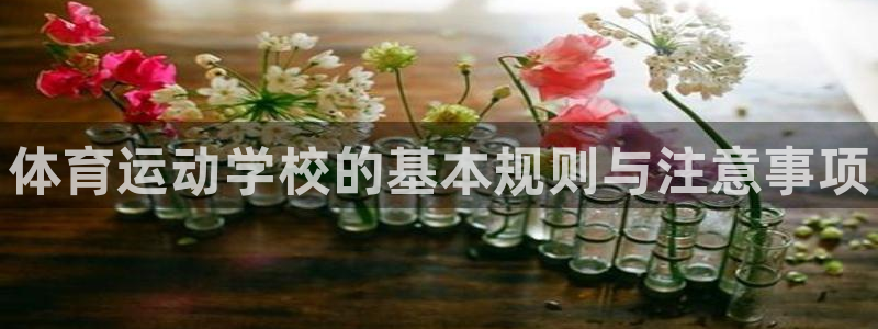 三亿体育